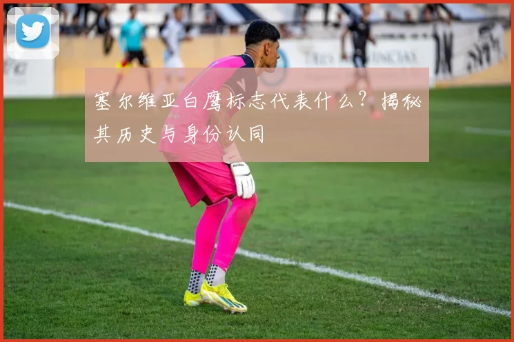 塞尔维亚白鹰标志代表什么？揭秘其历史与身份认同