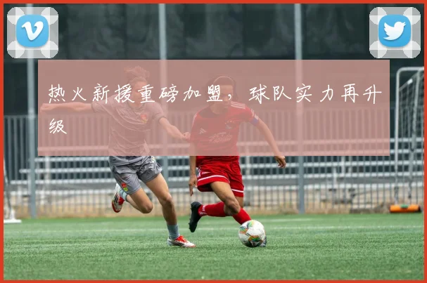 热火新援重磅加盟，球队实力再升级